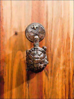 llamador puerta - aldaba tortuga
