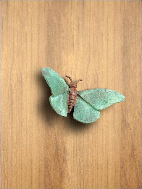 Pomo-mariposa-T0a1 Pomos de diseño para puerta exterior